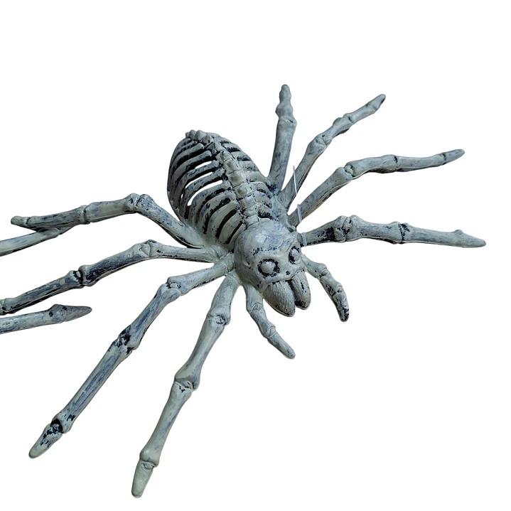 ARAÑA ESQUELETO 3
