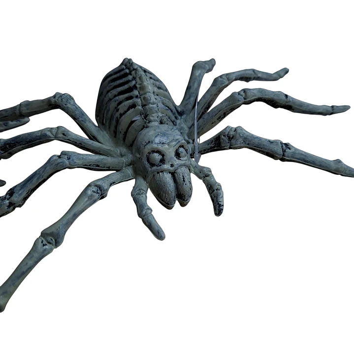 ARAÑA ESQUELETO 2