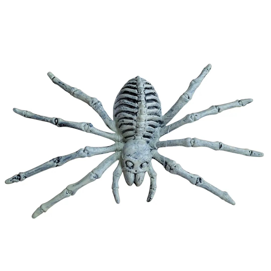 ARAÑA ESQUELETO 4