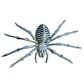 ARAÑA ESQUELETO - Miniatura 4