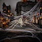 ARAÑA ESQUELETO - Miniatura 1