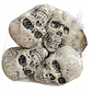 CALABERAS 6PCS - Miniatura 1