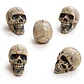 CALABERAS 6PCS - Miniatura 3