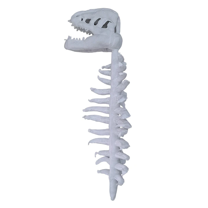 ESQUELETO TIREX 120CM 5