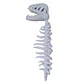 ESQUELETO TIREX 120CM - Miniatura 5