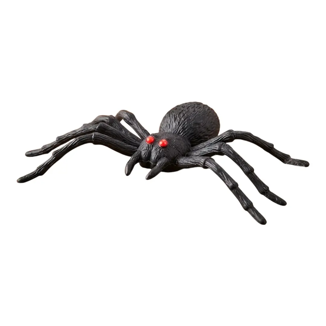 ARAÑA 1