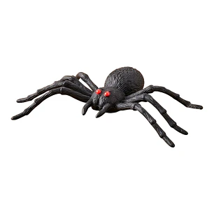 ARAÑA
