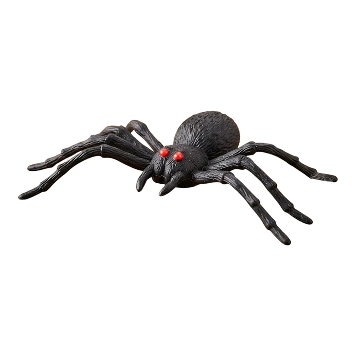 ARAÑA 1