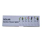 MARGARITAS SOLARES - Miniatura 4