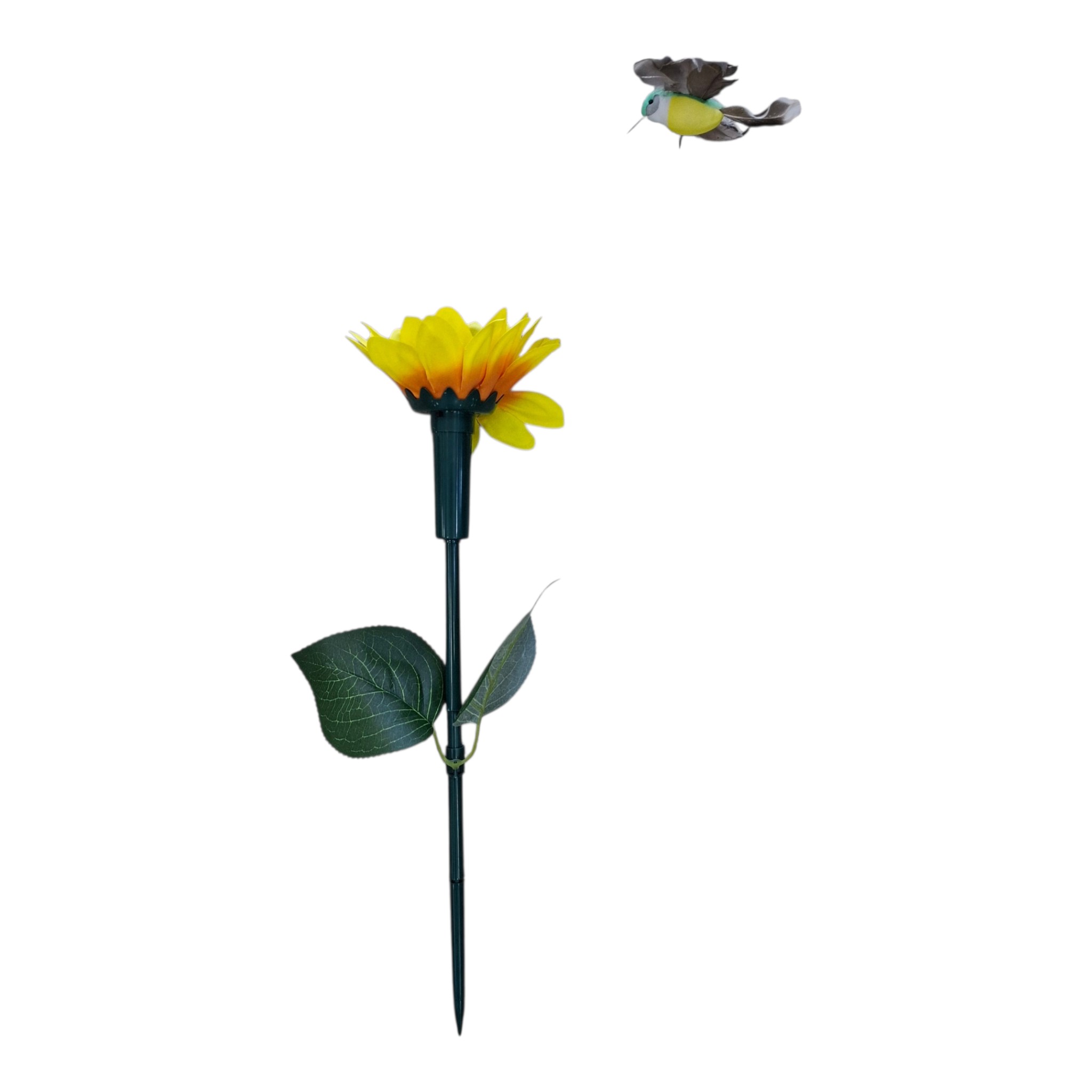 COLIBRI DE JARDIN