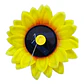 COLIBRI DE JARDIN - Miniatura 5