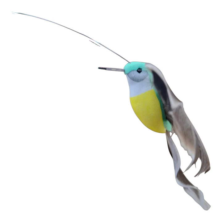 COLIBRI DE JARDIN 6
