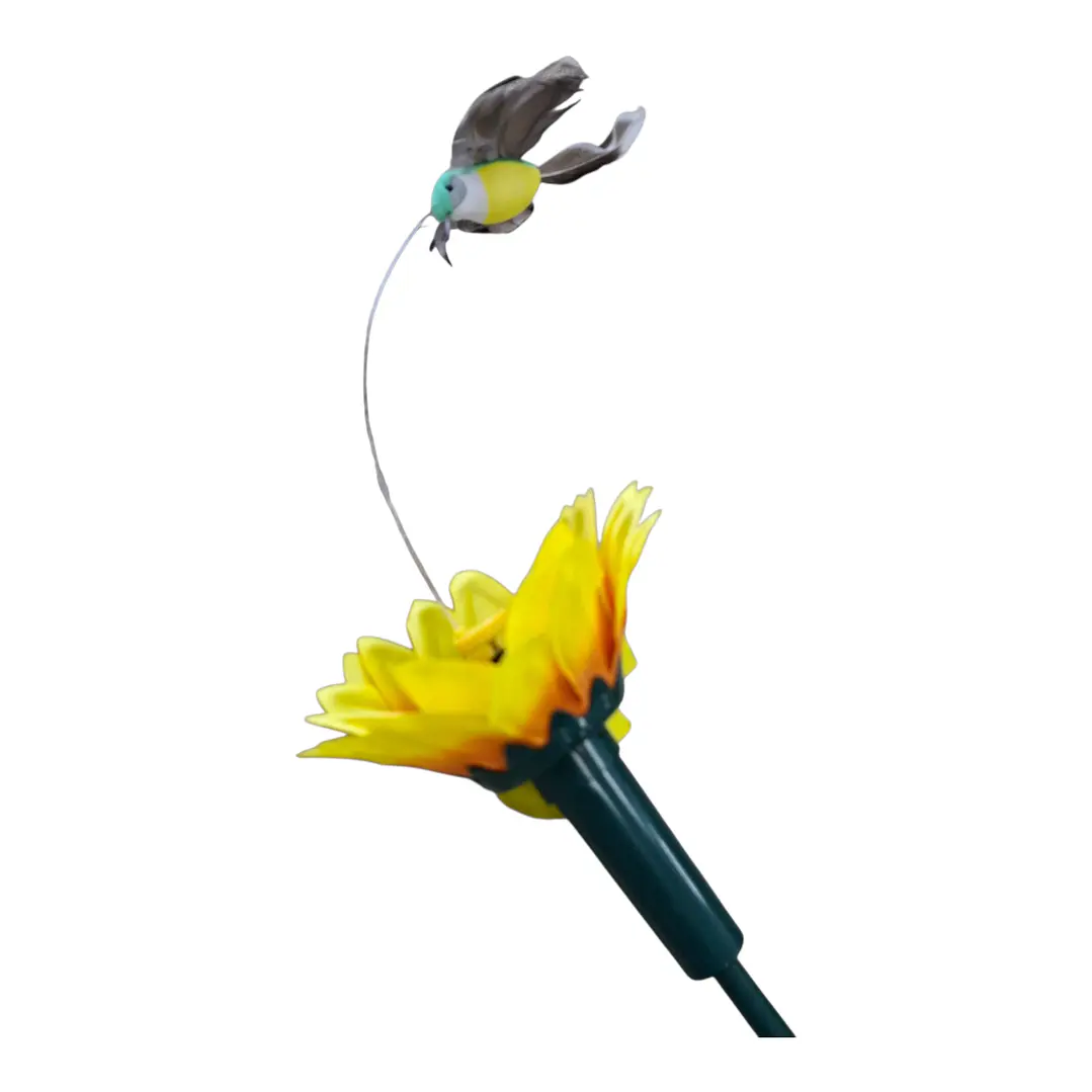 COLIBRI DE JARDIN 2