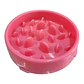 PLATO COME LENTO 25CM - Miniatura 2