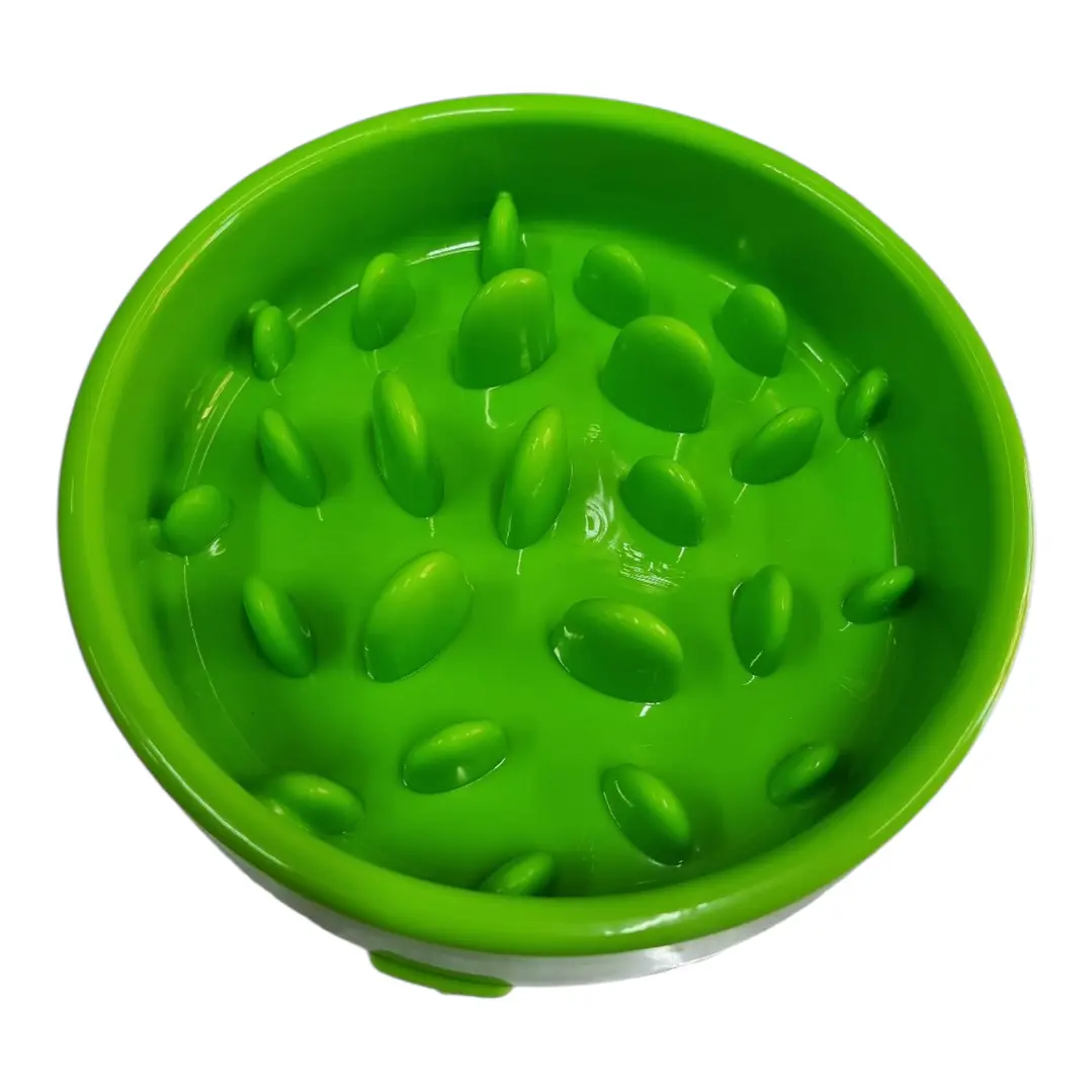 PLATO COME LENTO 25CM 3