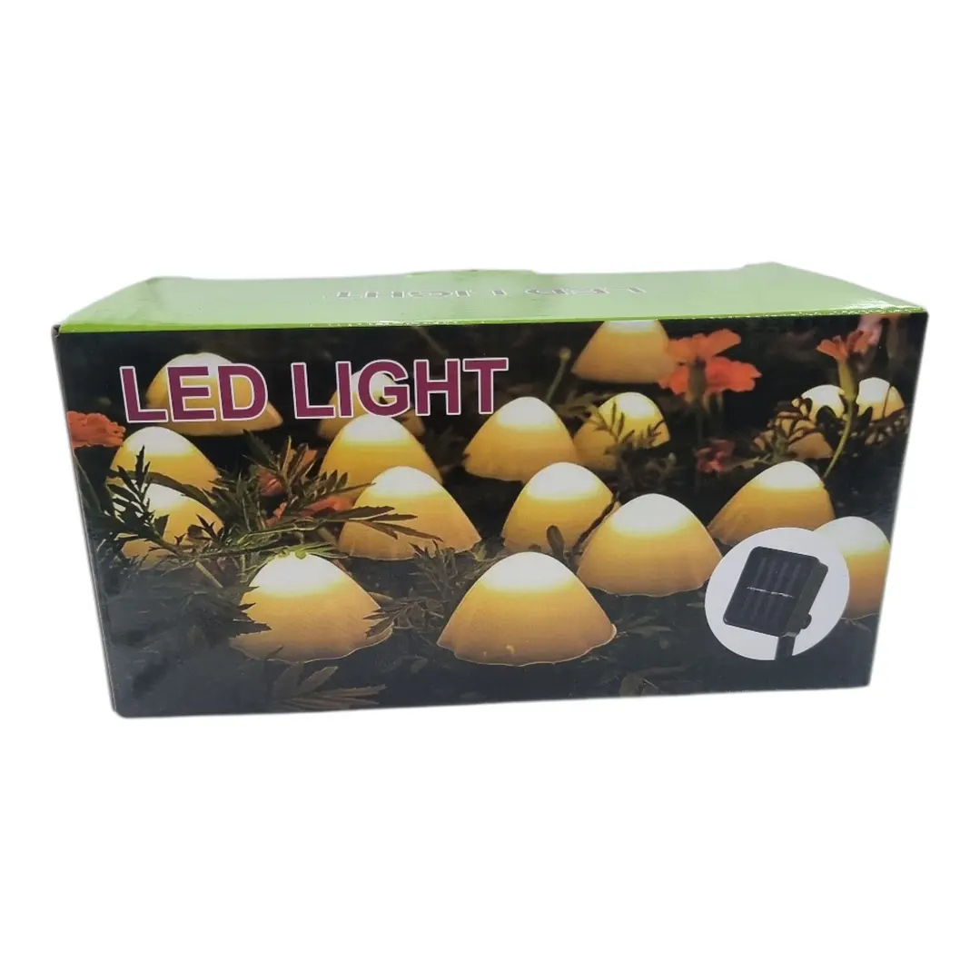 LUZ SOLAR HONGOS 4