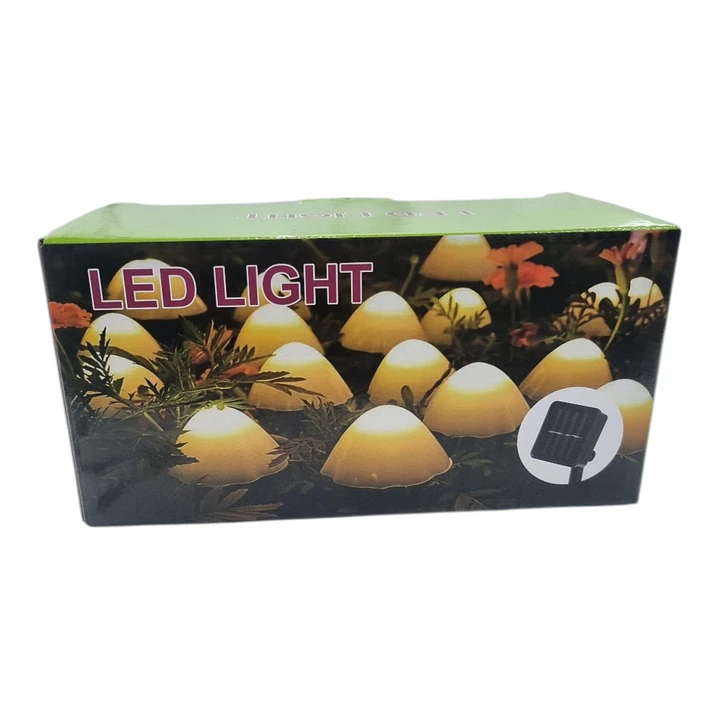 LUZ SOLAR HONGOS 4