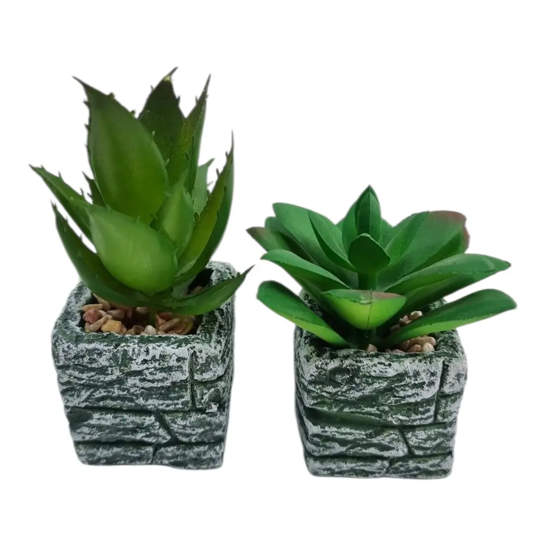 MINI MACETA  3