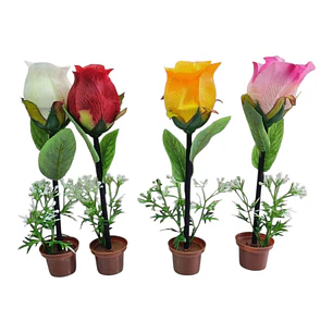 LAPIZ ROSA