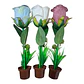 LAPIZ ROSA CON BRILLO - Miniatura 1