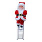 PASCUERO ESCALADOR - Miniatura 3