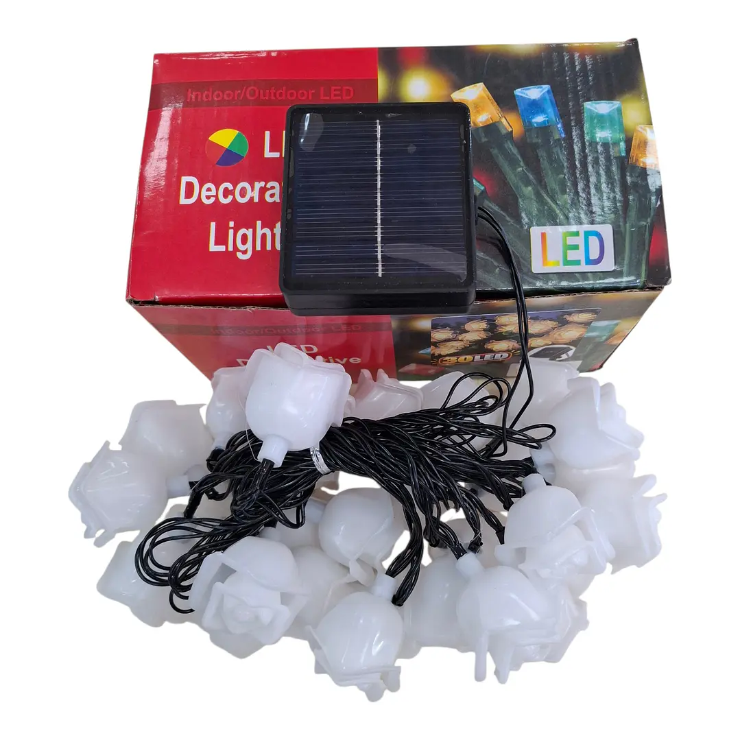 LUZ SOLAR ROSAS 30L 1