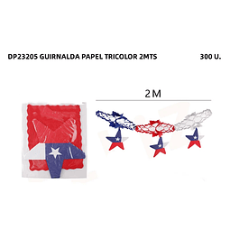 DP23205 SET X12U GUIRNALDA PAPEL TRICOLOR 2MTS