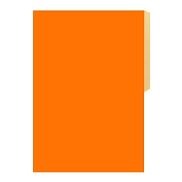 Carpeta cartulina pig naranja halley-m10(100)