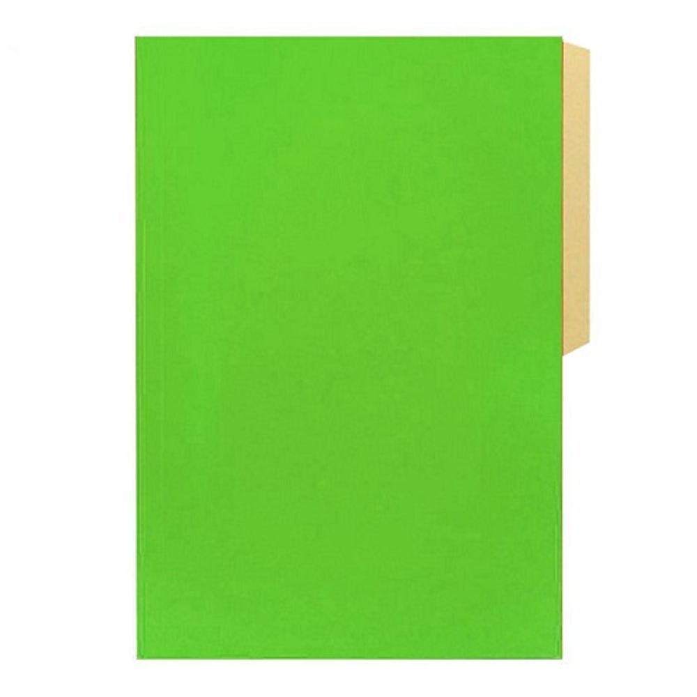 Carpeta cartulina pig verde cl halley-m10 (100)