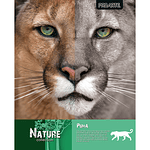 Cuaderno universitario 7mm 100hj tapa dura nature proarte -m3-10-60