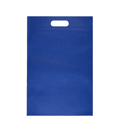 Set 10 unidades bolsas tnt azul 31x25 feco*m3-m10(12)