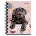 Cuaderno cuarta mat 7mm 150hjs animales adorables proarte -m3-10