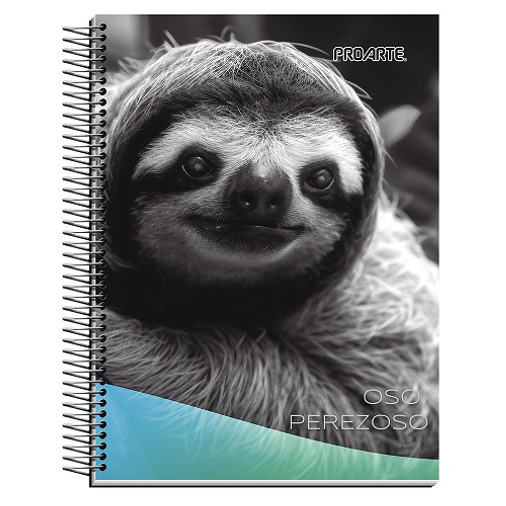 Cuaderno cuarta 17x21cm mat 7mm 150hjs nature proarte -m3-10