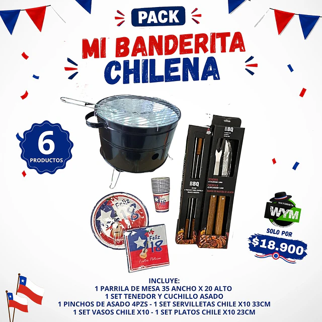 MI BANDERITA CHILENA