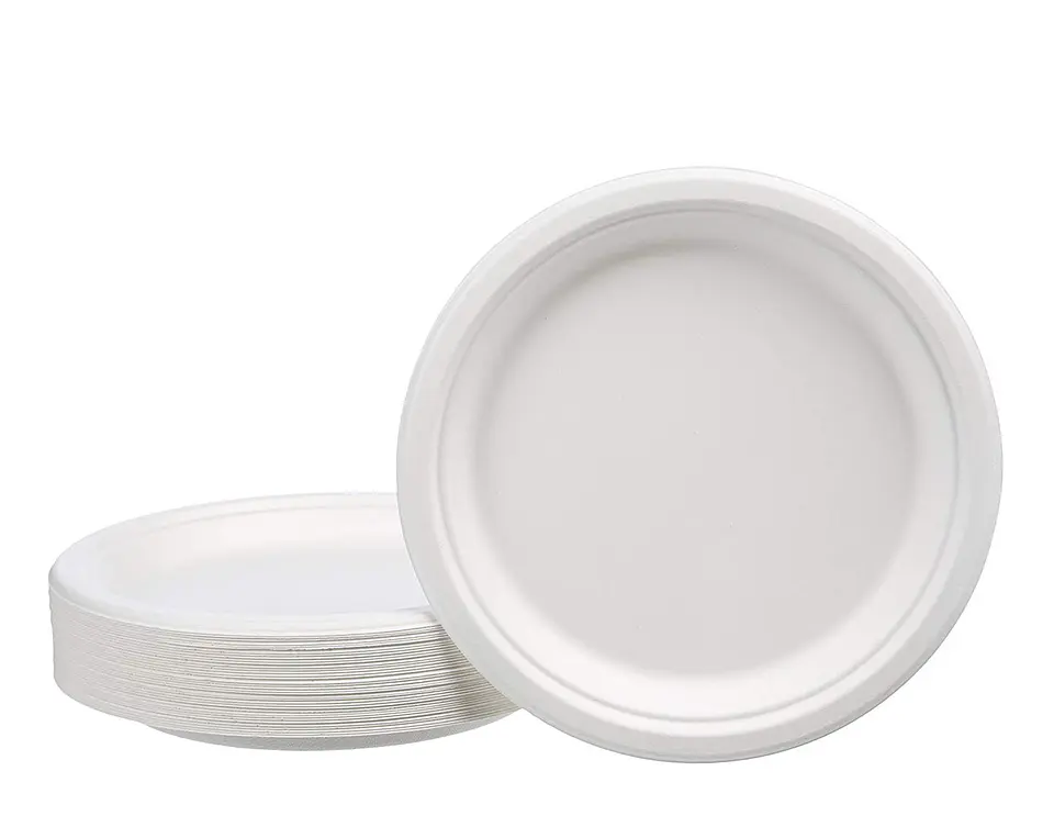Plato Compostable 23cm x500 1