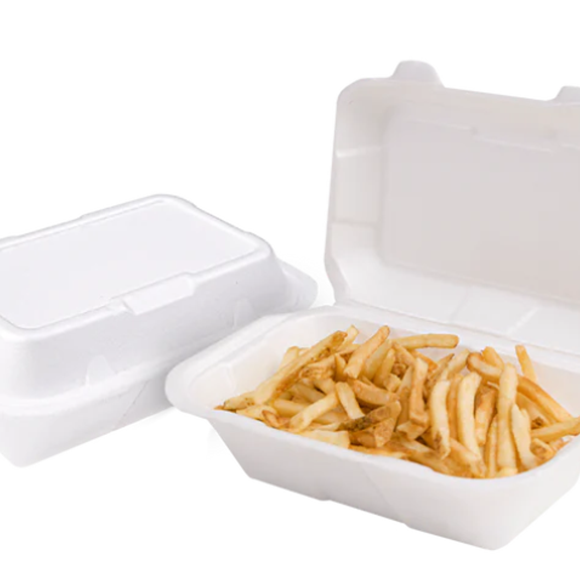 Envase Térmico CT5 sin División 1