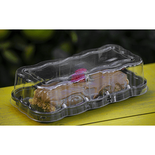 Cúpula Brazo Reina 24x10x10