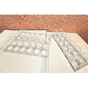 Estuche PET para 12 Huevos x320 und