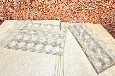 Estuche PET para 12 Huevos x320 und