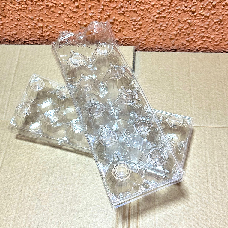 Estuche PET para 12 Huevos x320 und 3