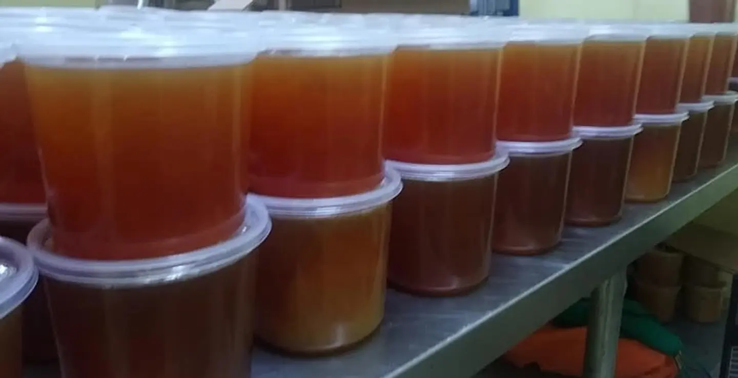 Pote Miel 1 Kg x500 und 1