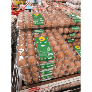 Bandeja PET para 30 Huevos x200 und