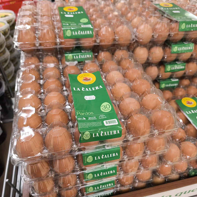 Bandeja PET para 30 Huevos x200 und 1