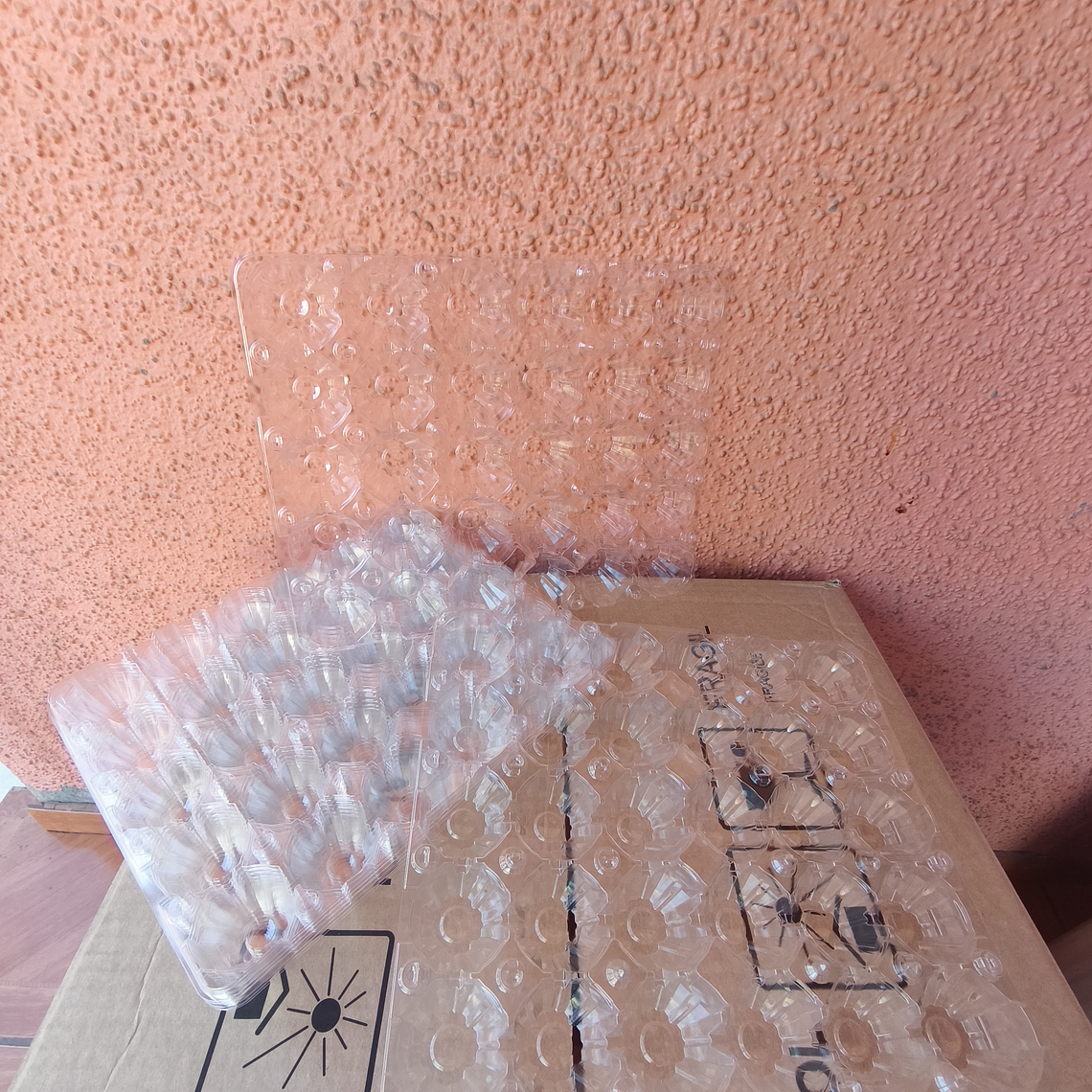 Bandeja PET para 30 Huevos x200 und 2