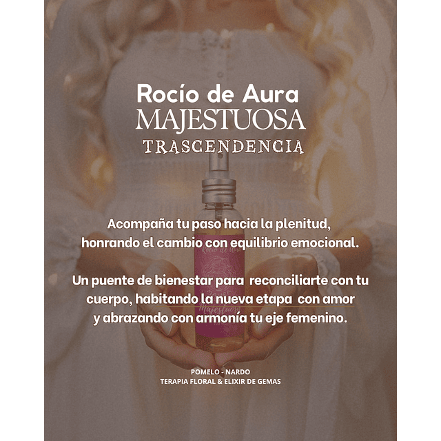 CAJA DE ROCÍOS AURICOS 2