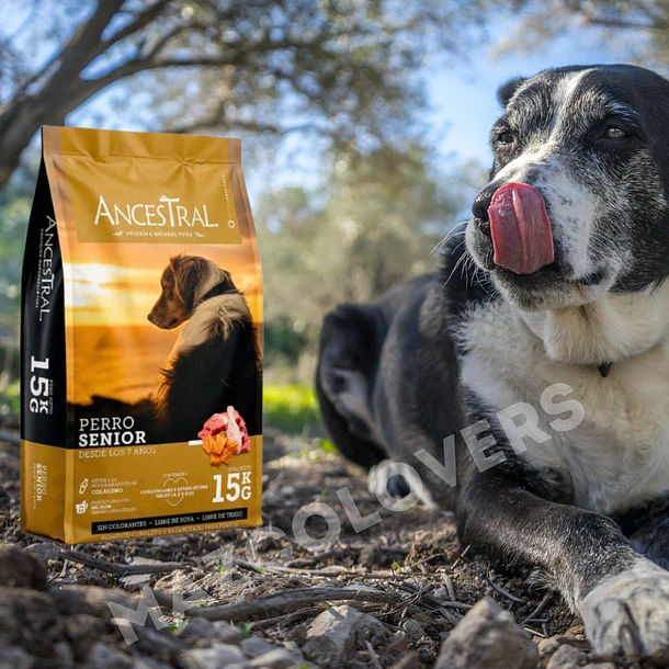Ancestral Senior 15 Kg 3