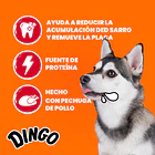 DINGO triple kabobs 5und 3