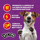 Dingo Large Bone 1 Unid. 90 Gr. 2