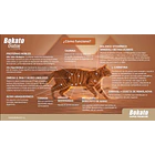 Bokato Gato Adulto Esterilizado 7kg 3