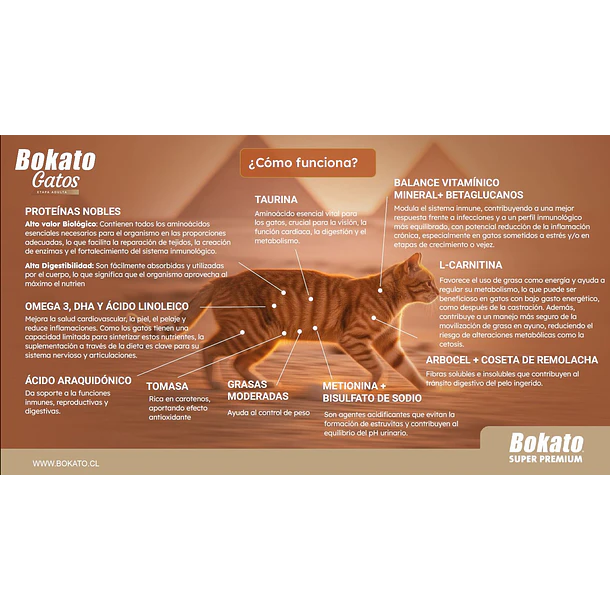Bokato Gato Adulto Esterilizado 7kg 3